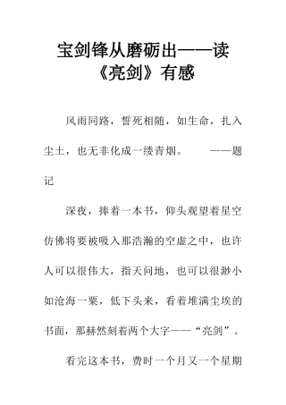 宝剑锋从磨砺出——读《亮剑》有感