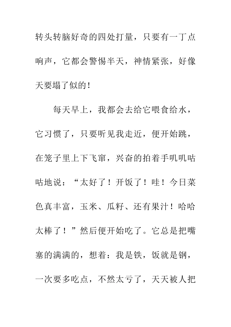 宝贝小可的生活_第2页