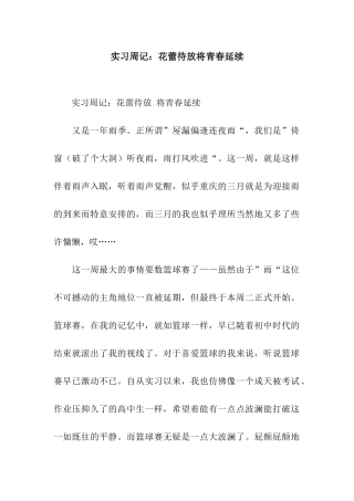 实习周记花蕾待放将青春延续