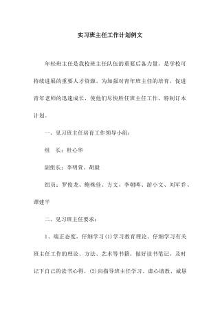 实习班主任工作计划例文