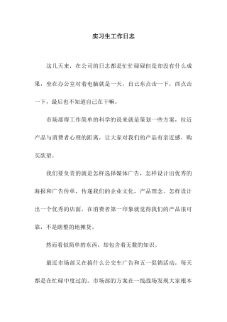 实习生工作日志