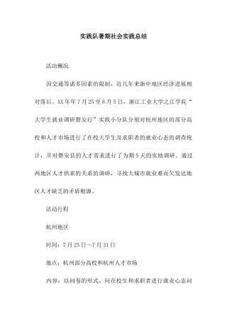 实践队暑期社会实践总结