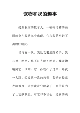 宠物和我的趣事