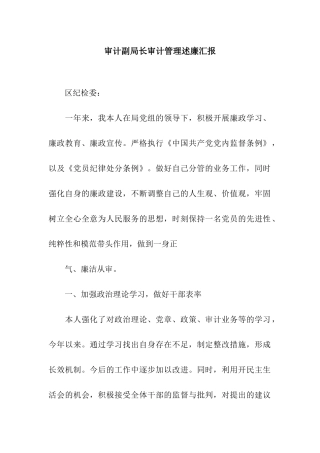 审计副局长审计管理述廉汇报