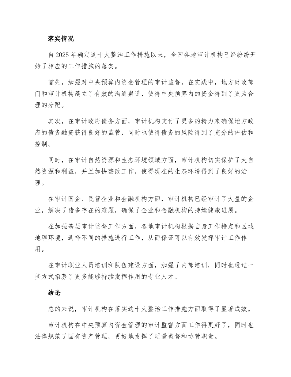 审计局落实十大整治工作措施_第2页