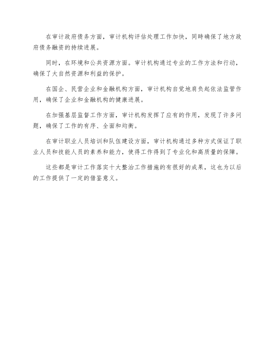 审计局落实十大整治工作措施_第3页