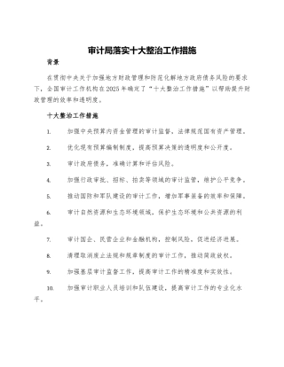 审计局落实十大整治工作措施
