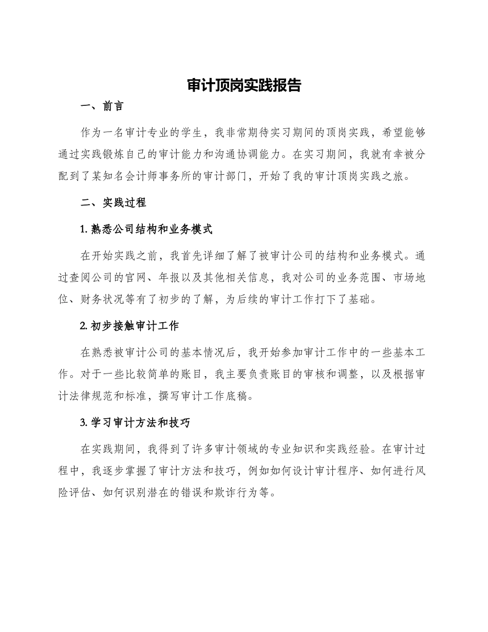 审计顶岗实践报告字_第1页