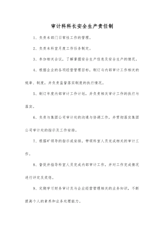 审计科科长安全生产责任制