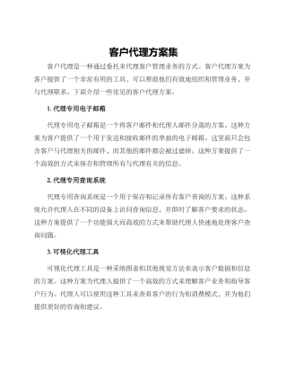 客户代理方案集