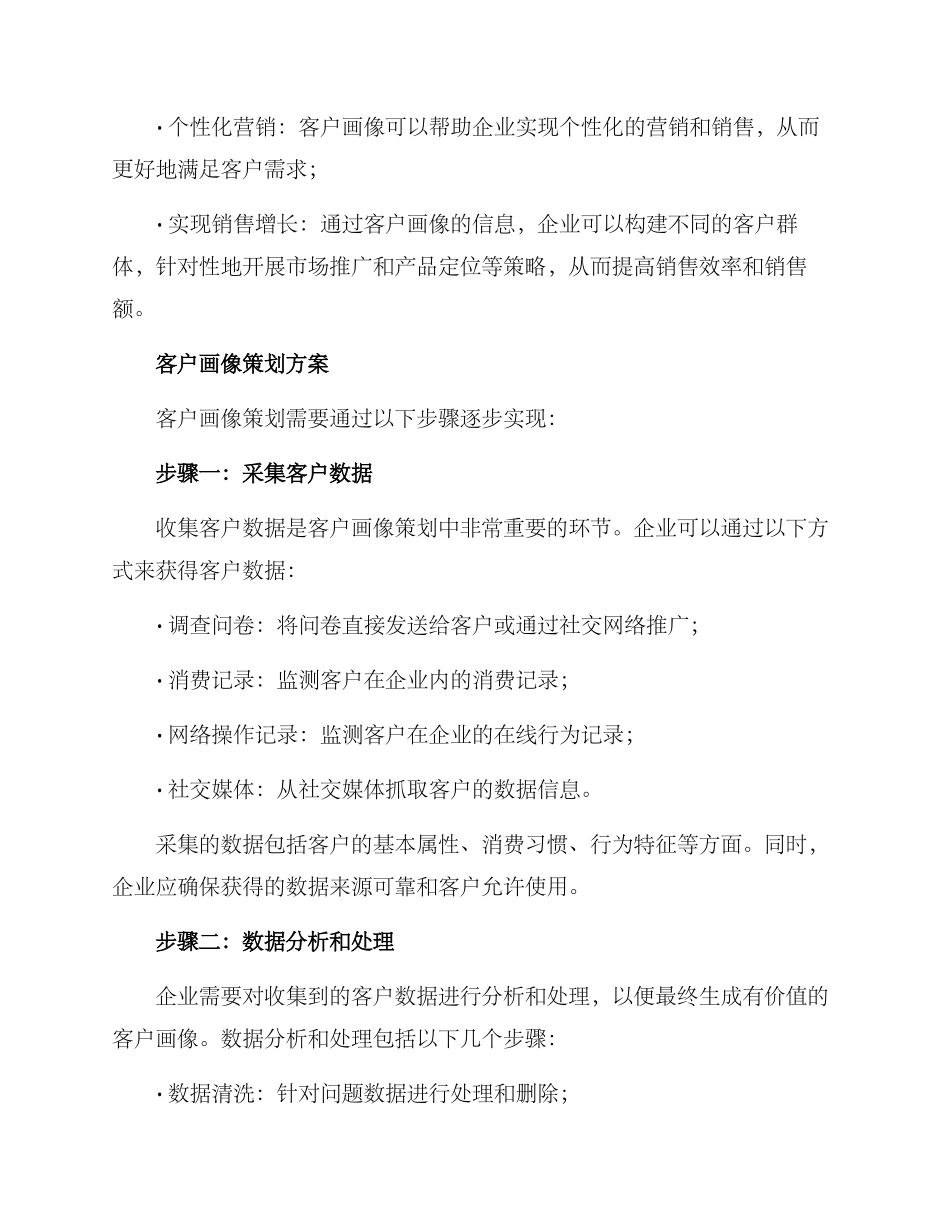 客户画像策划方案_第2页