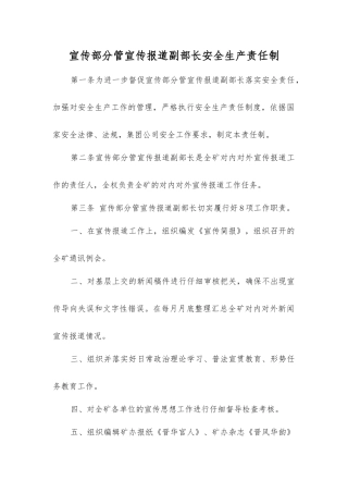 宣传部分管宣传报道副部长安全生产责任制