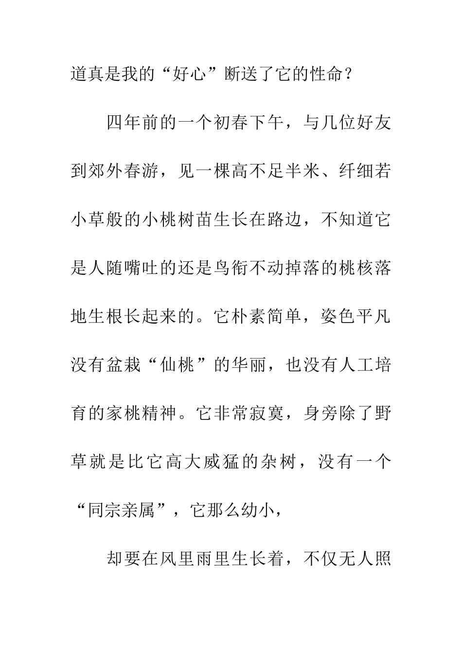 对一棵桃树的检讨_第3页