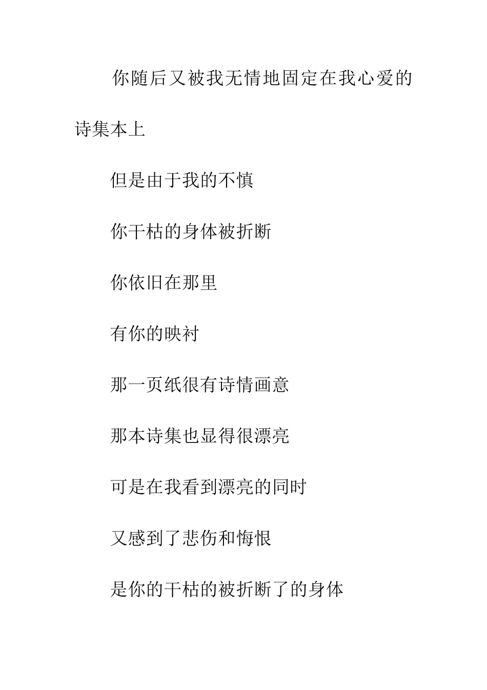 对不起一片树叶-1_第3页