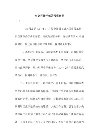 对副科级干部的考察意见