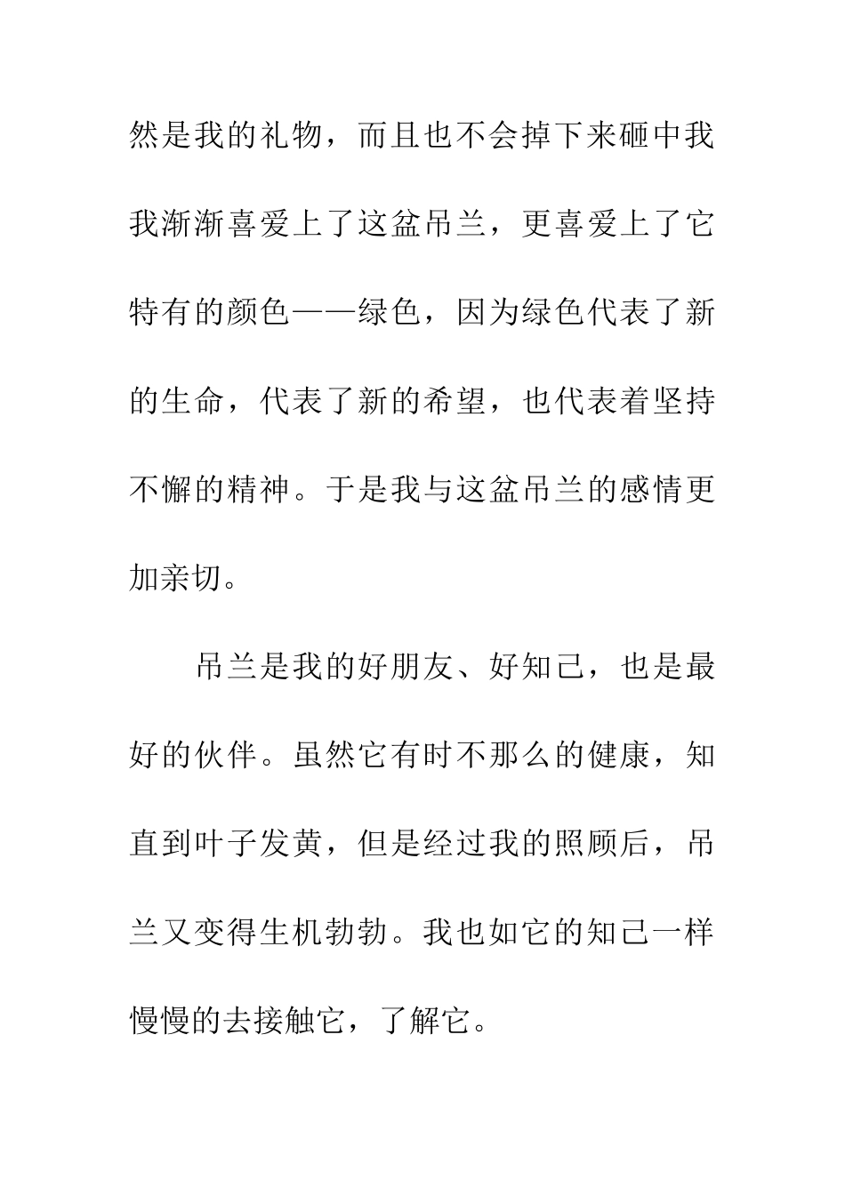 对吊兰的怀念_第3页