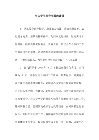 对大学生社会实践的评语