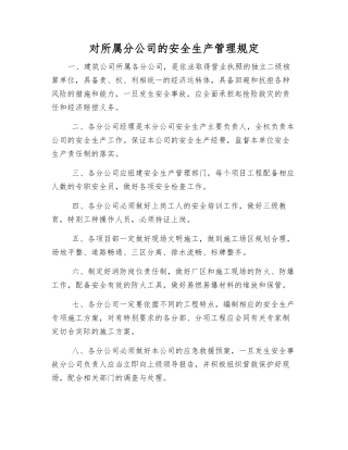 对所属分公司的安全生产管理规定
