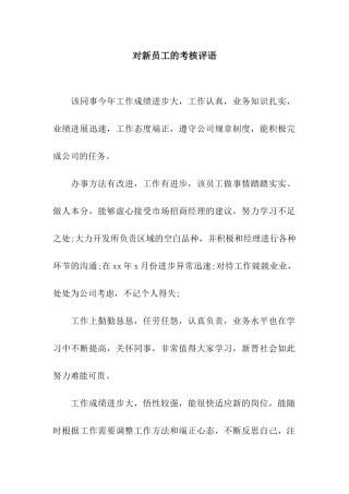 对新员工的考核评语