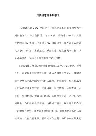对某城市的考察报告
