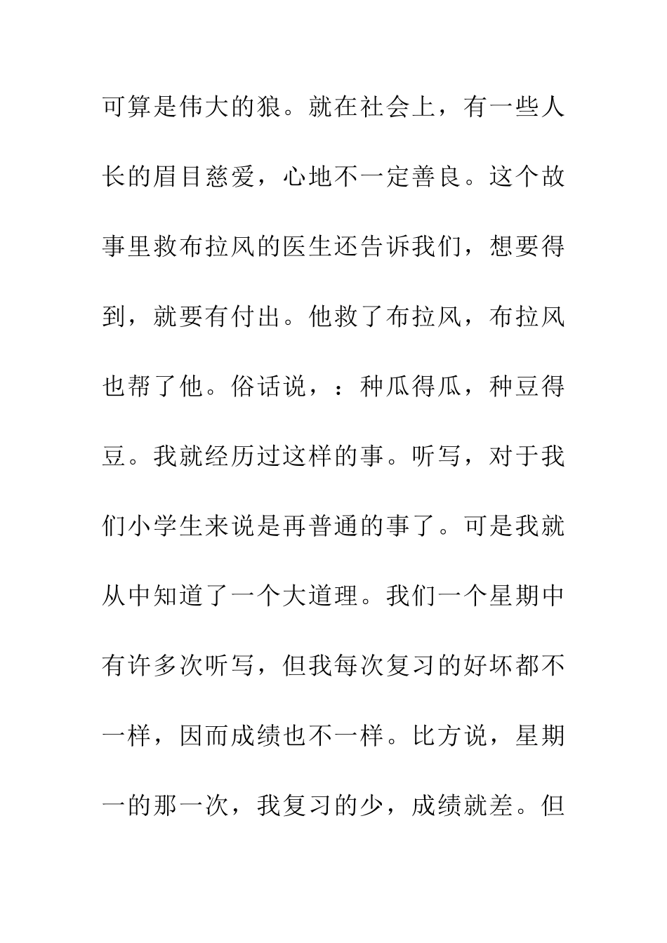 导盲狼读后感_第3页