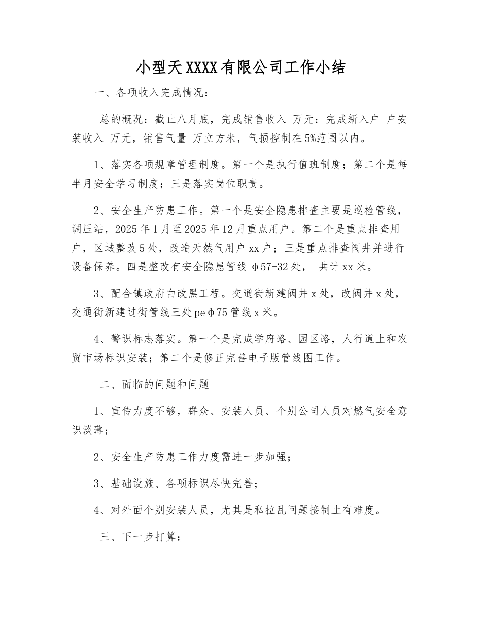 小型天然气有限公司工作小结_第1页