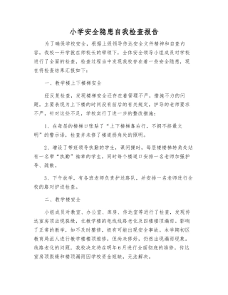小学安全隐患自检报告