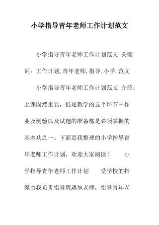 小学指导青年教师工作计划范文
