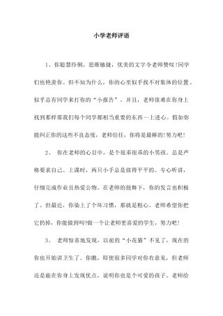 小学教师评语