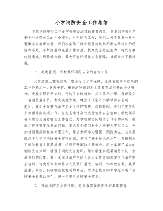 小学消防安全工作总结