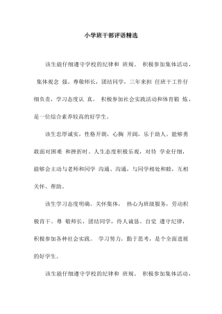 小学班干部评语精选