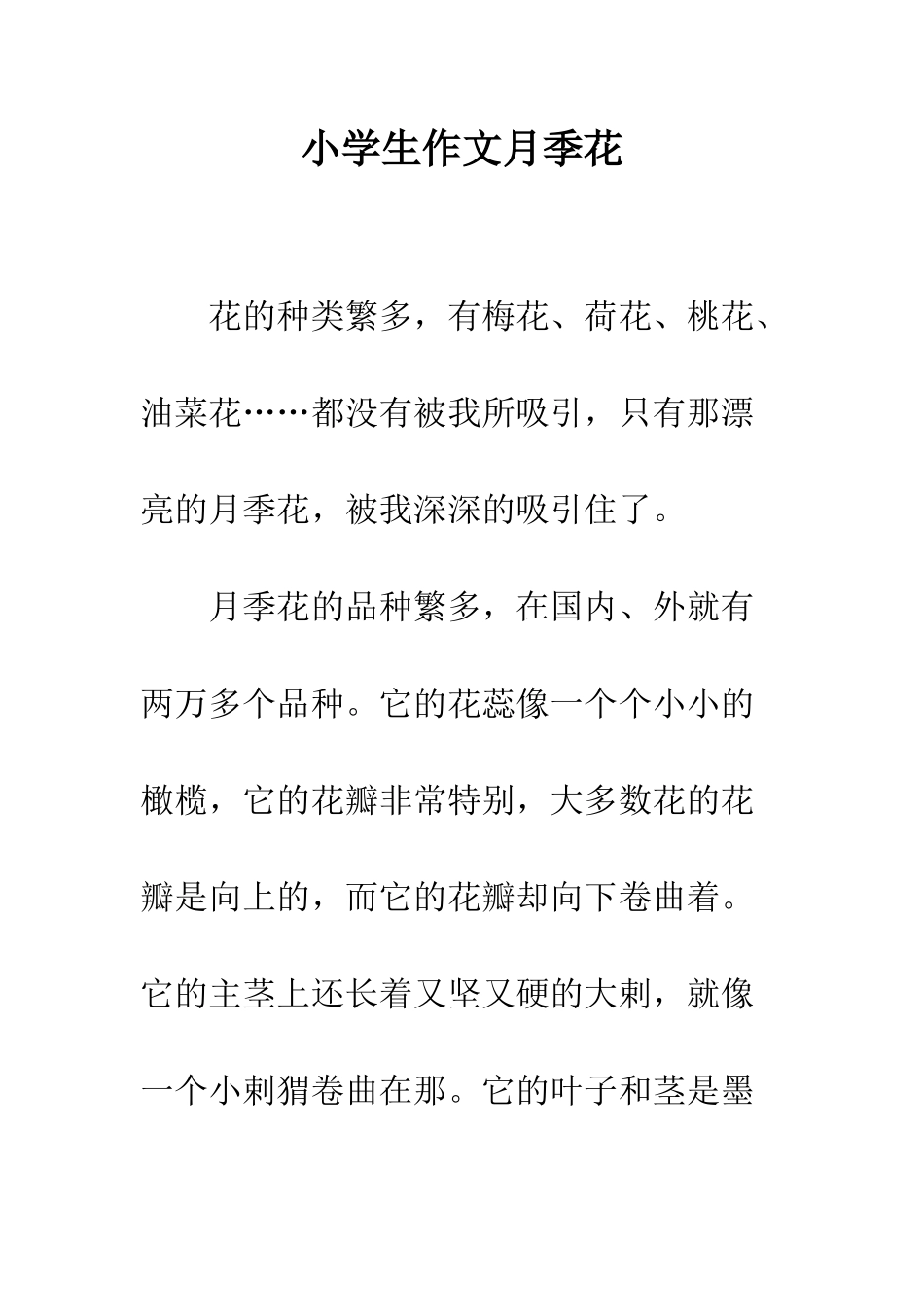 小学生作文月季花_第1页