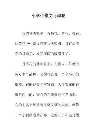 小学生作文月季花