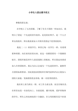 小学生入团志愿书范文