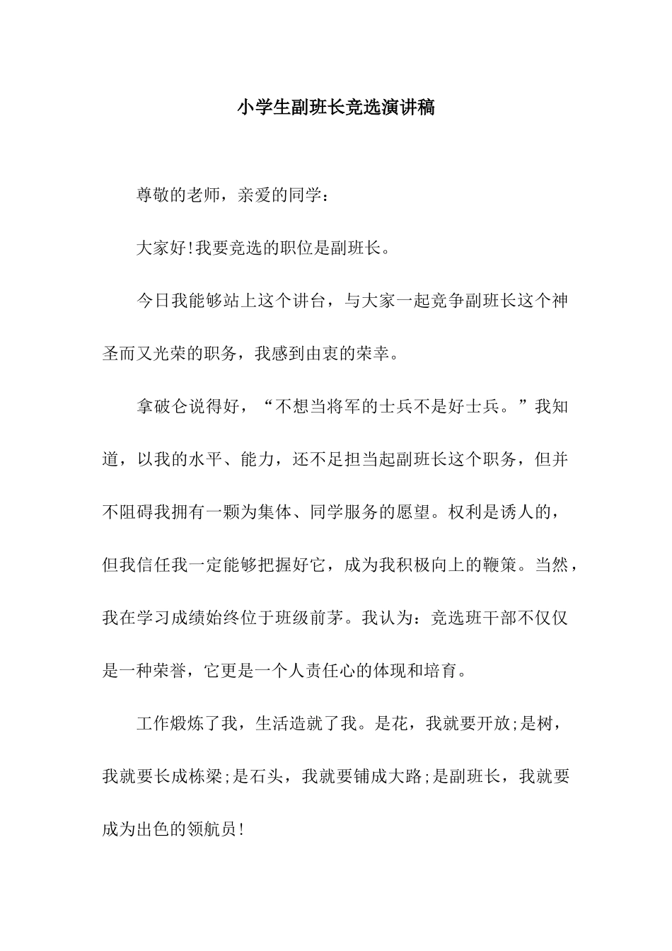 小学生副班长竞选演讲稿_第1页