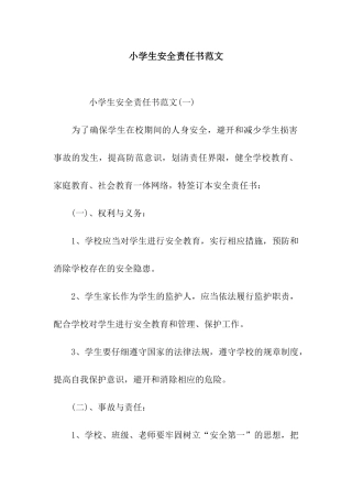 小学生安全责任书范文