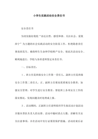 小学生实践活动安全责任书