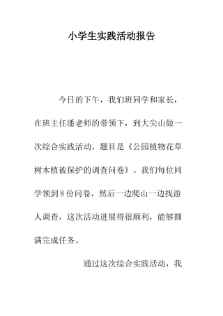 小学生实践活动报告