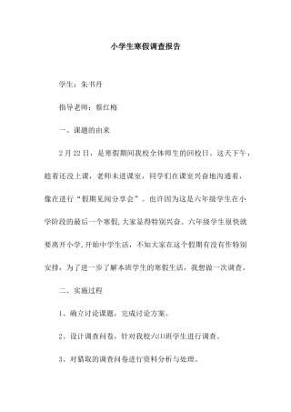 小学生寒假调查报告