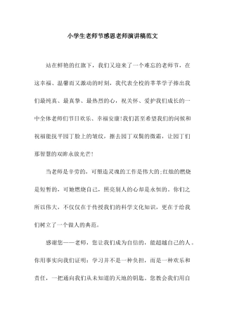 小学生教师节感恩教师演讲稿范文