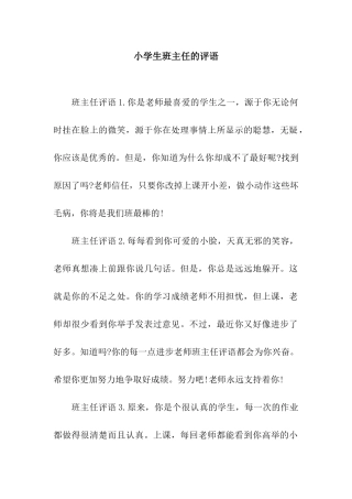 小学生班主任的评语