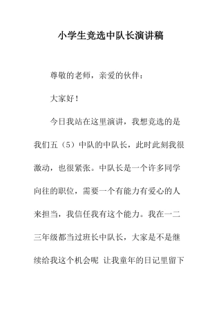 小学生竞选中队长演讲稿