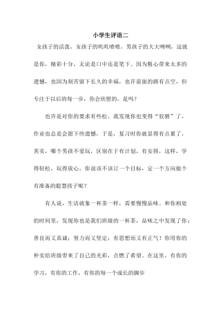 小学生评语二