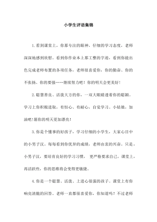 小学生评语集锦-3