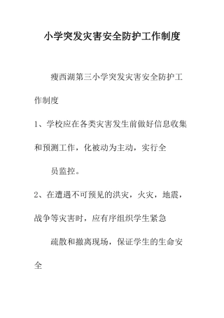 小学突发灾害安全防护工作制度