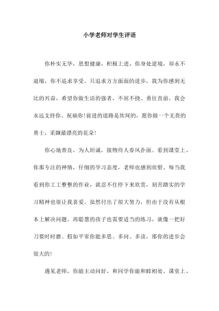 小学老师对学生评语