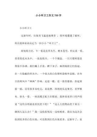 小小环卫工作文700字