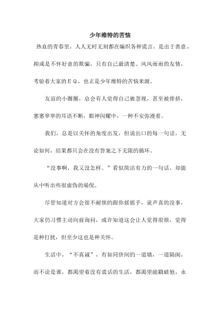 少年维特的烦恼