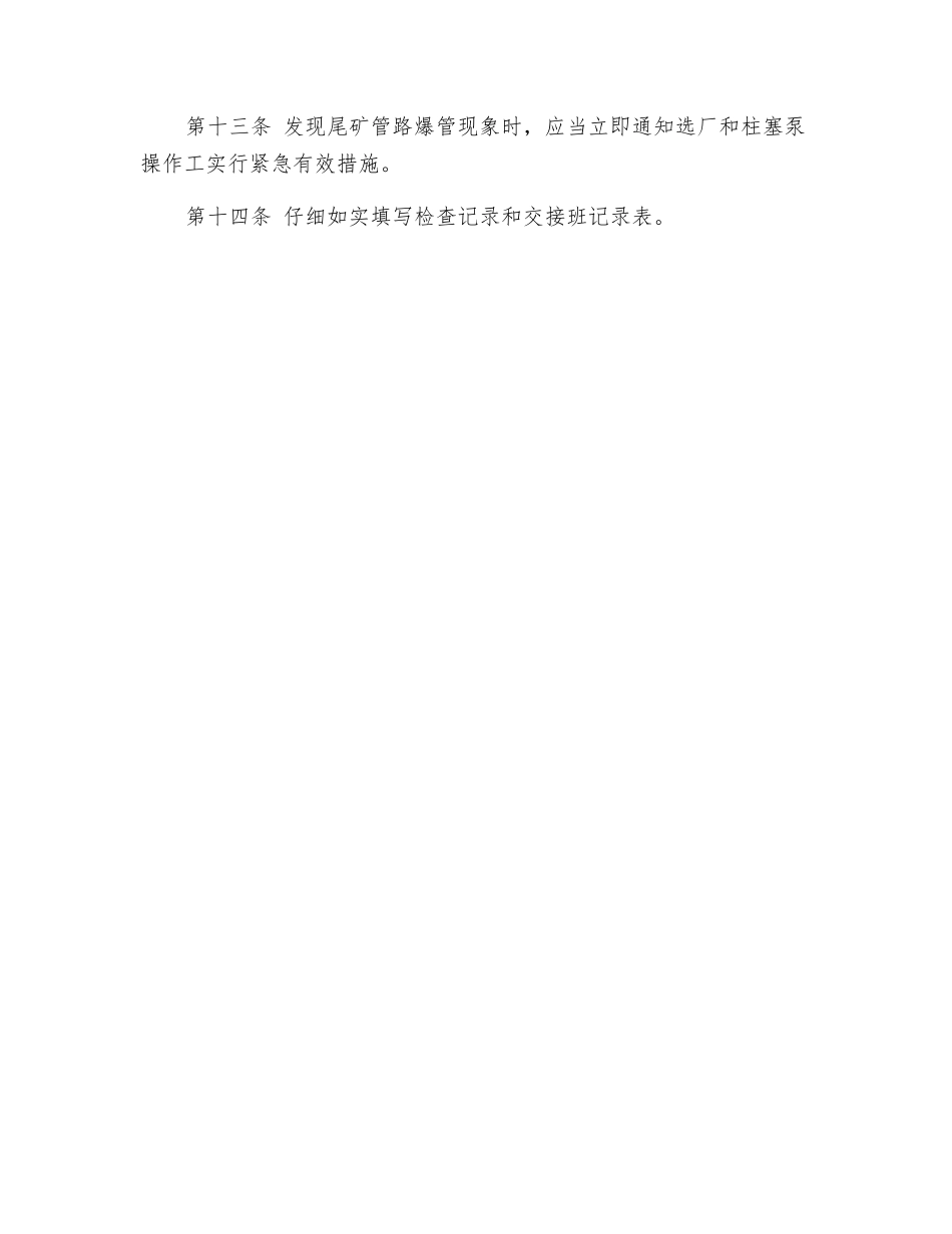 尾矿库巡坝工安全操作规程_第2页