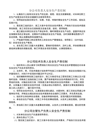 安全生产责任制、操作规程